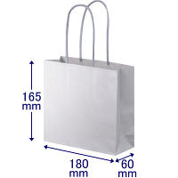 手提げ紙袋　丸紐　ブライトーンパールタイプ　パールグレー　S　1セット（30枚：10枚入×3袋）　スーパーバッグ  オリジナル