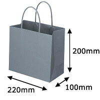 レザートーン手提袋　丸紐　クールグレー　M　1箱（300枚：10枚入×30袋）　スーパーバッグ  オリジナル