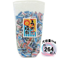 【アウトレット】ライオン菓子　うめ塩飴　1袋（1kg：約264粒）