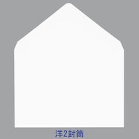 菅公工業 洋封筒 ヨ-100 名刺型 白 10枚 郵便番号枠なし 接着テープ無