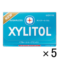 【アウトレット】ロッテ　キシリトールガム　＜ブルーシャープミント＞　1セット（60枚:12枚入×5個）