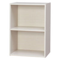 アイリスオーヤマ 棚 本棚 カラーボックス 2段 収納ボックス 幅415×奥行290×高さ595mm オフホワイト CX-2（直送品）