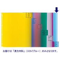 ケルン　KS-782-24　科別インデックス（漢方内科）　A4　1パック（100枚入）　（直送品）