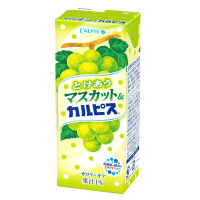 使用不可【アウトレット】【※税率要確認】エルビー　とけあうマスカット&「カルピス」250ml　1箱（24本入）