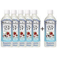 キリンビバレッジ　世界のキッチンから　ソルティ・ライチ　500ml　1セット（5+1本）