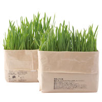 無印良品 猫草栽培セット 2個入り 良品計画
