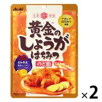 アサヒグループ食品 黄金のしょうがはちみつのど飴 2袋 キャンディ のどあめ お菓子