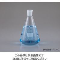 DWK Life Sciences NS共通摺合三角フラスコ 50mL 241931803 1個 1-8407-03（直送品）