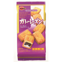 ブルボン ガトーレーズン 31053 1セット(2袋入)