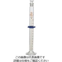 柴田科学 有栓メスシリンダー カスタムA 25mL 1-1960-04 1個（直送品）