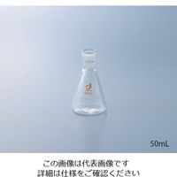 クライミング 共通摺合三角フラスコ 500mL 0101-07-50 1個 1-4330-11（直送品）