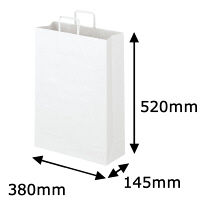 平紐 クラフト紙手提袋ベーシック380×520×145 白 1箱（200枚：50枚入×4箱）  オリジナル