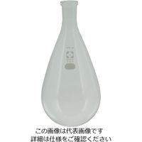 柴田科学 SPCなす形フラスコ 300mL 030120-19300 1個 1-7083-06（直送品）