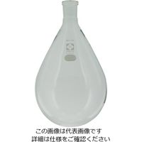 柴田科学 SPCなす形フラスコ 1000mL 030120-241 1個 1-7084-06（直送品）