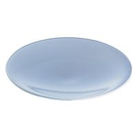 DWK Life Sciences 時計皿 φ80mm 213214109 1枚 1-8391-07（直送品）