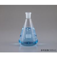 DWK Life Sciences NS共通摺合三角フラスコ 1000mL 03022970 1個 1-8407-17（直送品）