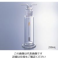 クライミング ガス洗浄瓶(棒フィルター付き) 250mL 0456-02-10 1個 1-9543-02（直送品）