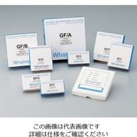 グローバルライフサイエンステクノロジーズジャパン ガラス繊維円形濾紙GF/A 2.1cm 100枚入 1820-021 1箱(100枚)（直送品）