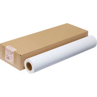 アスクル プロッタ用紙 ロール紙 カラーコート紙A1 1箱（2本入