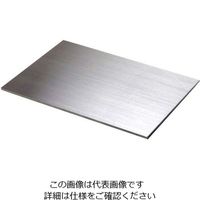 アズワン セフティキャビネット HUー5E用棚板 3-5016-32 1個（直送品）