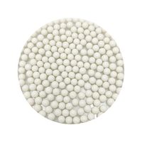 ニッカトー アルミナボール(高純度) SSA-999W-5 1箱(1kg) 5-4058-01（直送品）