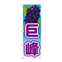 PEOEPv_Nc ̂ڂ uv G 21419iij
