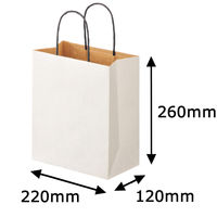 リバーシブルペーパー手提げ　丸紐　白　S　1袋（10枚入）　スーパーバッグ  オリジナル