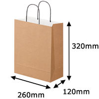 【紙袋】手提げ紙袋ツインカラーベーパー／スーパーバッグ
