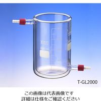 アズワン 保温・保冷ビーカー 600mL TーGL600 1356 1個 1-2155-02（直送品）