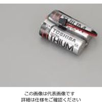 アズワン 渦式フローモニター用 電池ユニット 1-6236-05 1台（直送品）