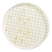 メルク アンプル培地 (一般生菌用)1箱(50枚入) MHA000P2T 1箱(50枚) 2-7522-02（直送品）