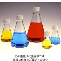 サーモフィッシャーサイエンティフィック 滅菌三角フラスコ(ノーマルキャップ/バッフル底) 2000mL 4113-2000 1袋(4個)（直送品）