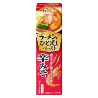 【アウトレット】ハウス食品 ラーメンにひと足しペースト 辛みそ 1本（40g）