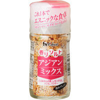 【アウトレット】ハウス食品 香りソルト アジアンミックス 1本（58g）