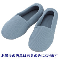 あゆみ 介護靴 2704エスパドワイド ブルーS（20.5-21.5cm）右足 室内用（取寄品）