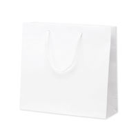 ササガワ 手提げ袋 丸紐 マット白 ホワイト M 50-6520 1セット（10枚：1枚×10）（取寄品）
