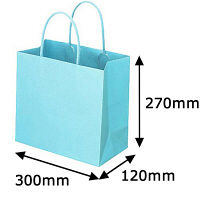 レザートーン手提袋　丸紐　アクアブルー　L　1箱（300枚：10枚入×30袋）　スーパーバッグ  オリジナル