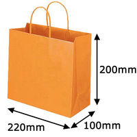 レザートーン手提袋　丸紐　マンダリン　M　1箱（300枚：10枚入×30袋）　スーパーバッグ  オリジナル