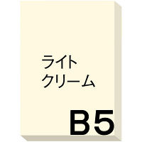 アスクル カラーペーパー B5 ライトクリーム 1冊（500枚入）  オリジナル