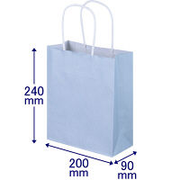 手提げ紙袋　丸紐　パステルカラー　水色　SS　1箱（300枚：50枚入×6袋）　スーパーバッグ  オリジナル