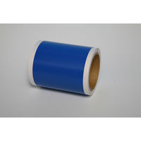 ノーブランド ビーポップ対応カラーシート 100タイプ 10m 屋内用 ブルー（青）