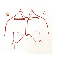 サンビー 人体略図ゴム印 胴体07 『胸部前面』 JING-07  1個（取寄品）