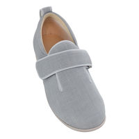  C 1097_u}WbNIII O[Mi22.0-22.5cmjE {݁E@piij