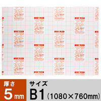 セキセイ のり付パネル セキパネ 貼レルヤ B1 NP-1625 1箱（5枚