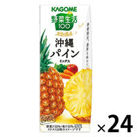 カゴメ 野菜生活100 本日の逸品 沖縄パインミックス 195ml 1箱（24本入）