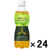 【アウトレット】特産三ツ矢 北海道らいでんメロン 460ml 1箱（24本入）