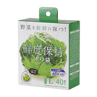 鮮度保持ポリ袋 半透明 マチ付き 厚さ0.009mm 抗菌剤配合 L 1箱（40枚入） ポリエチレン ストリックスデザイン