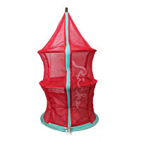 【アウトレット】リッケ カラフルドライネット（レッド） RIC-043 1個 和平フレイズ