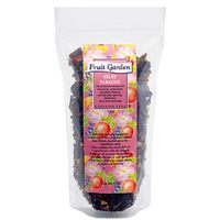 【アウトレット】フルーツガーデン フルーツパラダイス 1袋（125g）