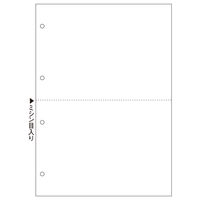 ヒサゴ　A4白紙2面4穴　BPE2003　1箱（2500枚入）